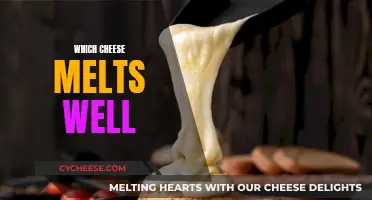 Cheese Melting: The Best Cheeses for Your Dish