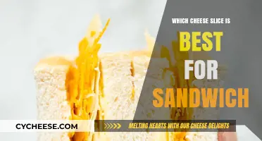 Cheese Slices: The Perfect Sandwich Addition