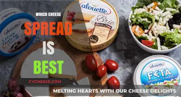Cheese Spreads: Which Ones Make the Cut?