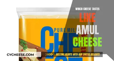 Tasty Cheeses Similar to Amul: A Flavor Guide