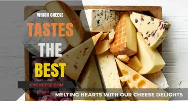 The Ultimate Taste Test: Which Cheese Reigns Supreme?