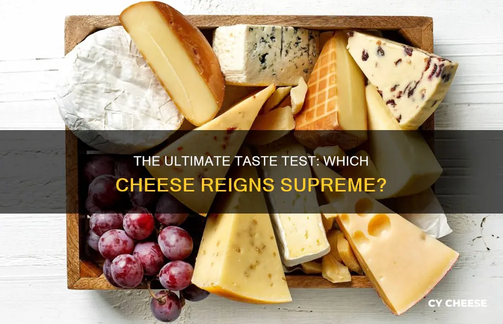 which cheese tastes the best