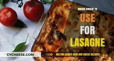 Lasagne's Luscious Cheese: The Ultimate Guide