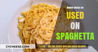 Cheese and Spaghetti: The Perfect Pairing