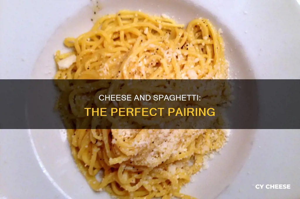 which cheese us used on spaghetta