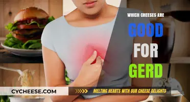 Soothing Cheeses for GERD: Low-Acid Options to Enjoy Comfortably