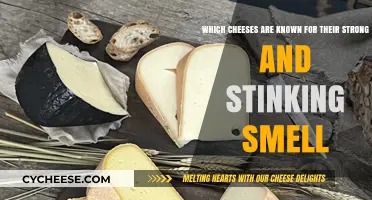 Bold and Pungent: Cheeses Famous for Their Strong, Stinking Aromas