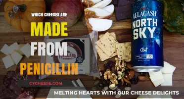 Unveiling the Penicillin-Infused Cheeses: A Surprising Culinary Adventure