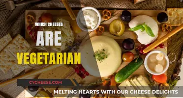 Vegetarian-Friendly Cheeses: A Guide to Animal-Free Dairy Options