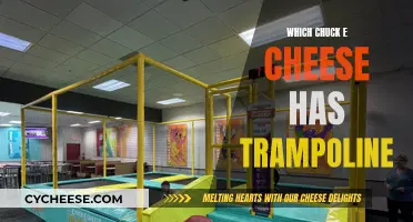 Trampoline Fun: Chuck E. Cheese's Bouncing Locations