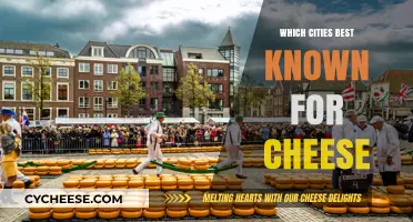 Cheese Cities: Where to Find the Best Cheeses