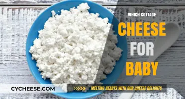 Best Cottage Cheese Options for Your Baby's Nutrition and Development