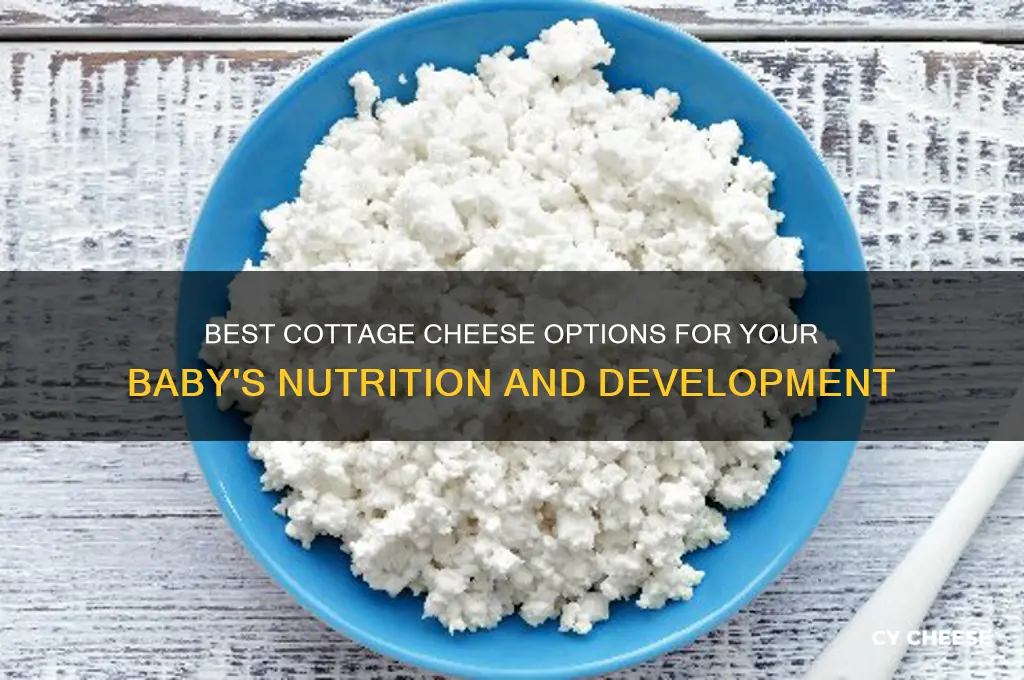 which cottage cheese for baby