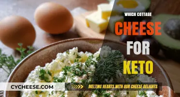 Keto-Friendly Cottage Cheese: Choosing the Best Low-Carb Option for You