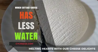 Finding the Driest Cottage Cheese: A Guide to Less Watery Options