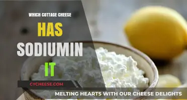 Sodium in Cottage Cheese: Which Brands Contain the Most?