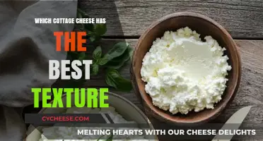 Creamy or Crumbly: Discovering the Best Cottage Cheese Texture