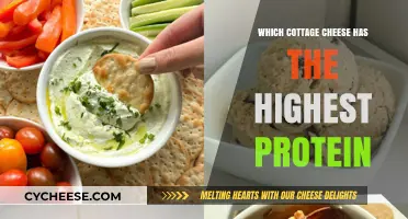 Top Protein-Packed Cottage Cheese Brands for Muscle Building and Health