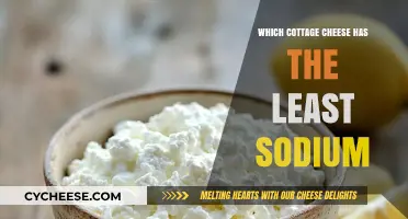Low-Sodium Cottage Cheese: Discover the Healthiest Options for Your Diet