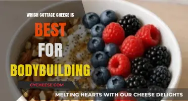 Best Cottage Cheese for Bodybuilding: Top Picks for Muscle Growth