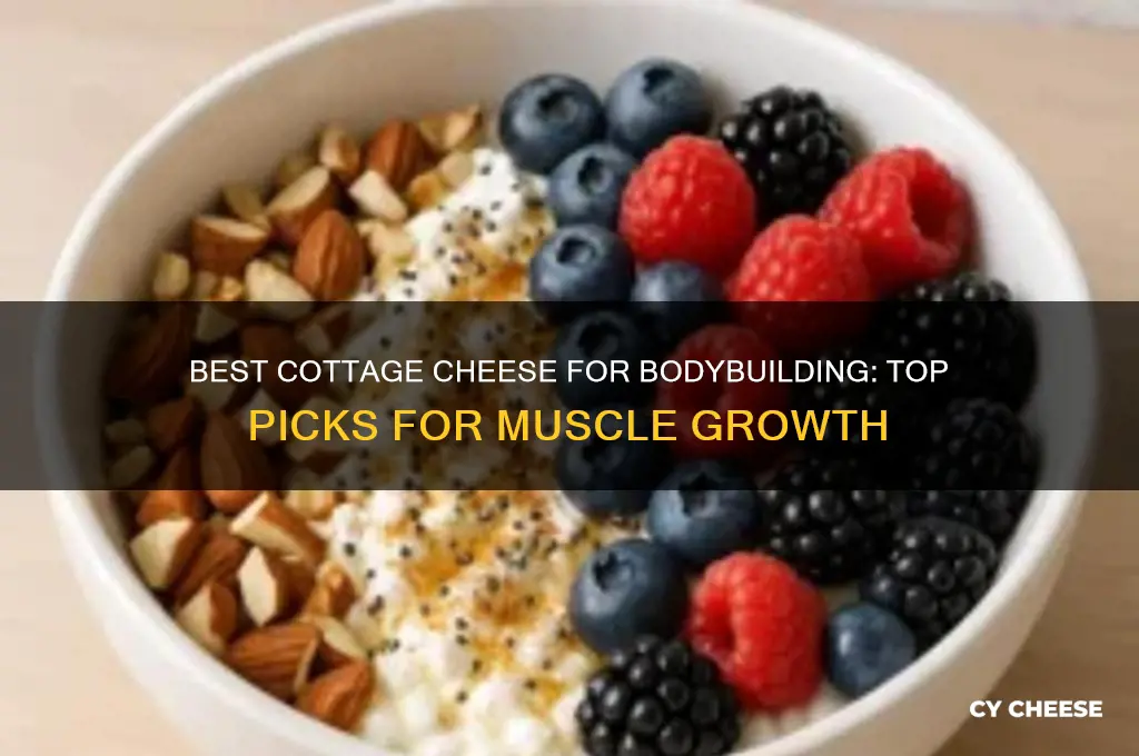 which cottage cheese is best for bodybuilding