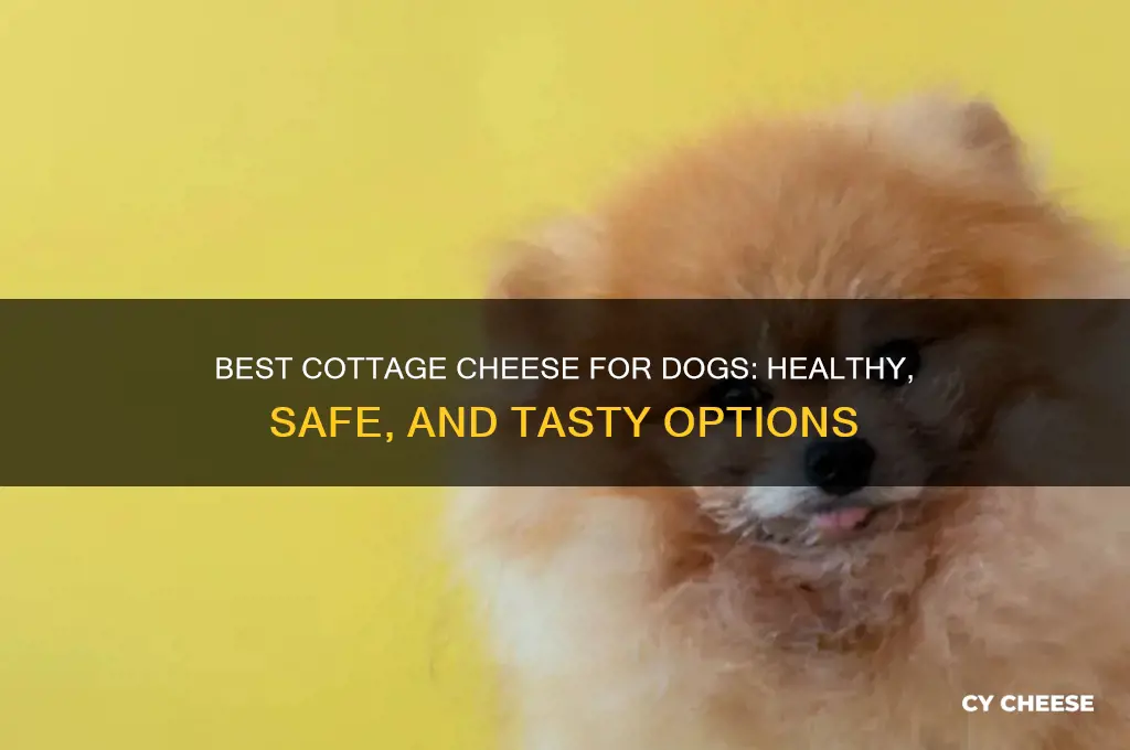 which cottage cheese is best for dogs