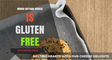 Gluten-Free Cottage Cheese Guide: Safe Brands and Delicious Options