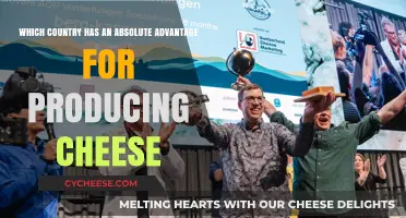 Global Cheese Dominance: Which Country Leads in Absolute Production Advantage?
