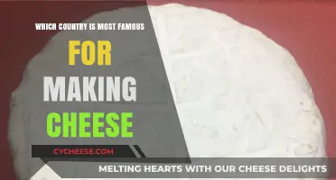 The Ultimate Cheese Capital: Which Country Reigns Supreme in Cheese Making?