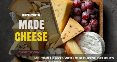 The Ancient Origins of Cheese: A Global Journey