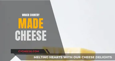 Cheese Origins: A Global Culinary Adventure