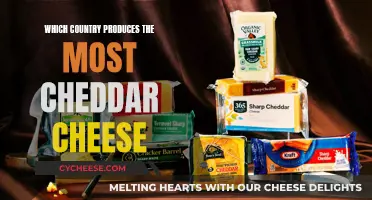 Global Cheddar Leader: Unveiling the Top Cheddar Cheese Producer