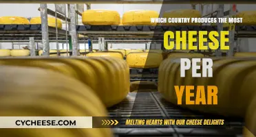 Global Cheese Production: Which Country Leads in Annual Output?