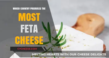 Feta Cheese: Which Country Leads in Production?