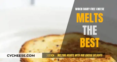 The Best Melting Dairy-Free Cheeses for Your Recipes