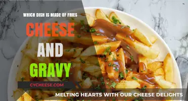 Cheesy Gravy Fries: A Tasty Comfort Food Delight