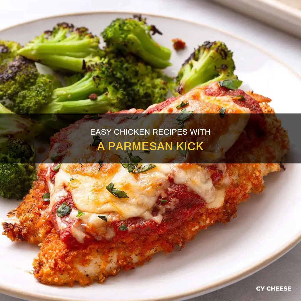 which grated parmesan cheese chicken recipes