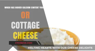 Yogurt vs. Cottage Cheese: Which Packs More Calcium Punch?