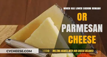 Romano vs Parmesan: Which Cheese Has Lower Sodium?