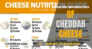 Carb Count Comparison: Cheddar vs. Munster Cheese