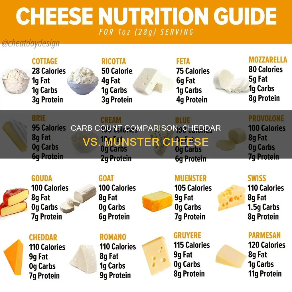 which has more carbs munster cheese of cheddar cheese