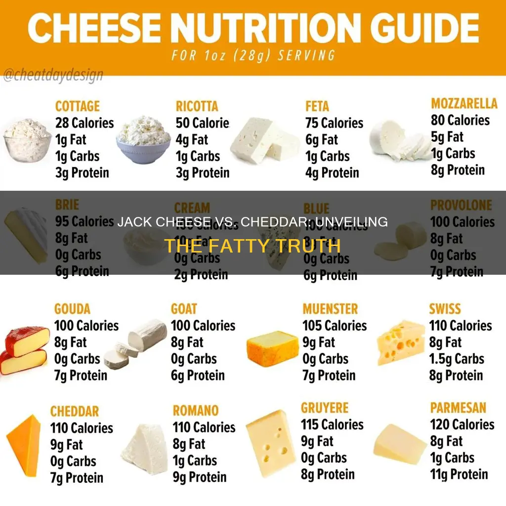 which has more fat jack chees or cheddar cheese