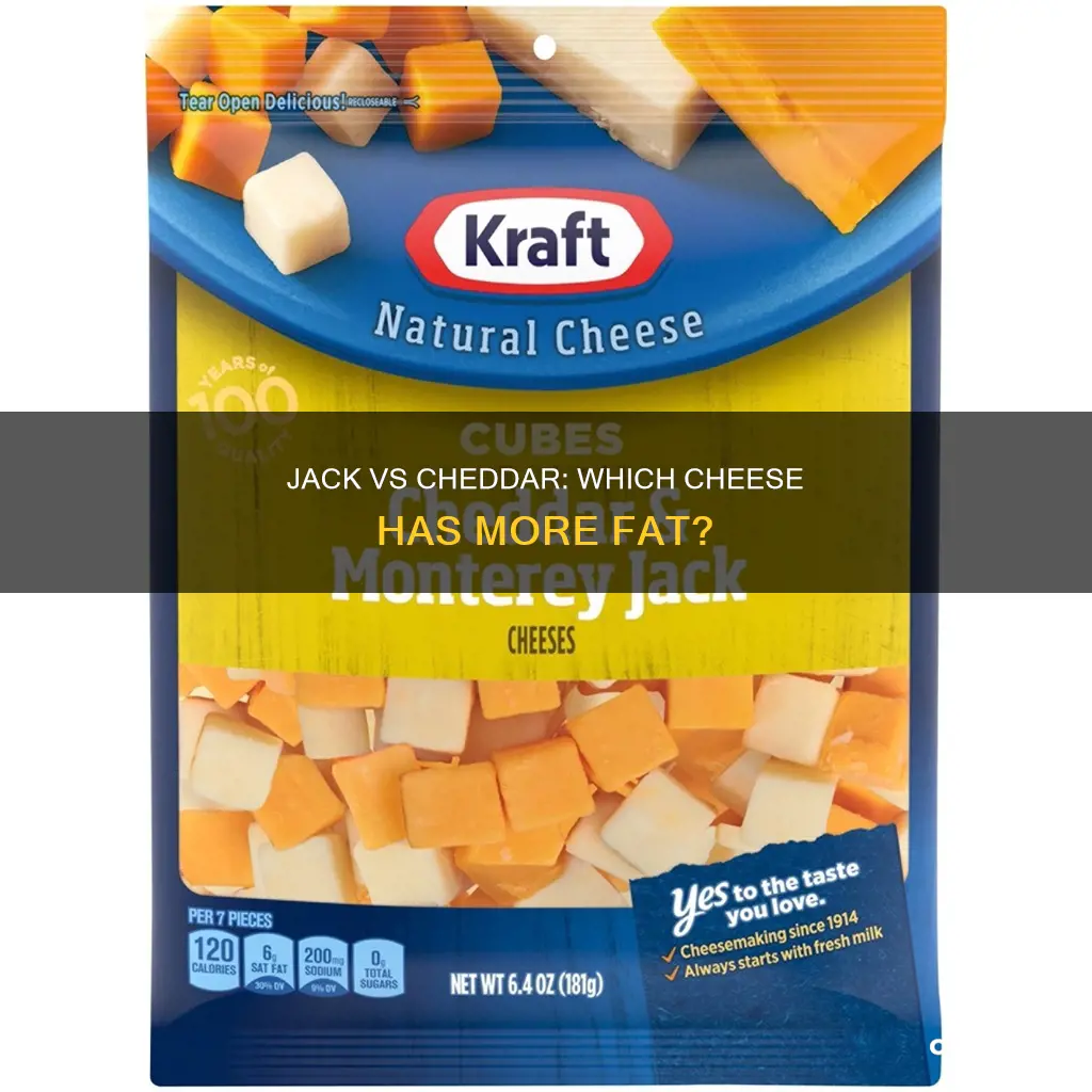 which has more fat jack chees or cheddar cheese