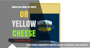 White vs. Yellow Cheese: Which Contains More Fat?