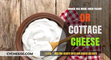 Yogurt vs. Cottage Cheese: Which Packs More Fiber for Your Diet?