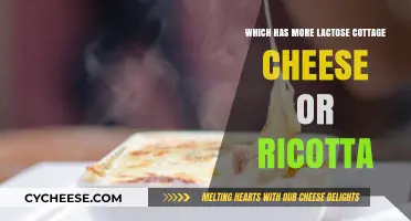 Cottage Cheese vs. Ricotta: Which Contains More Lactose?