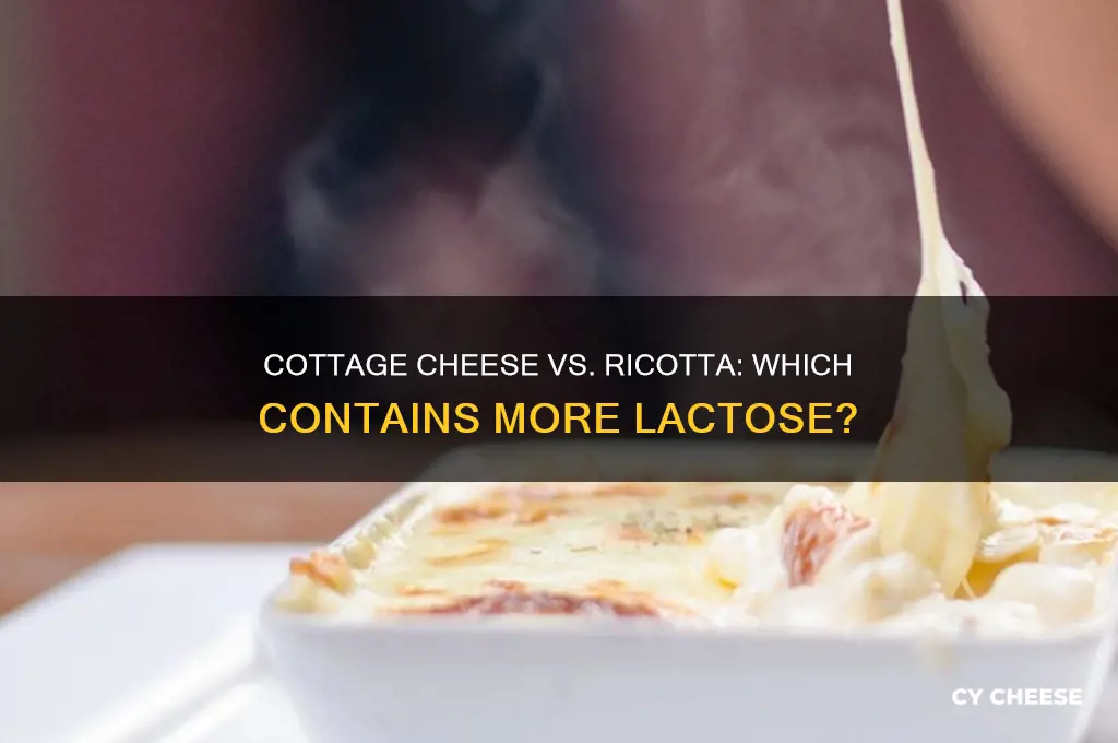 which has more lactose cottage cheese or ricotta