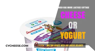 Lactose Content Compared: Cottage Cheese vs. Yogurt - Which is Lower?