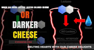 Lactose Levels in Cheese: Light vs. Dark Varieties Explained