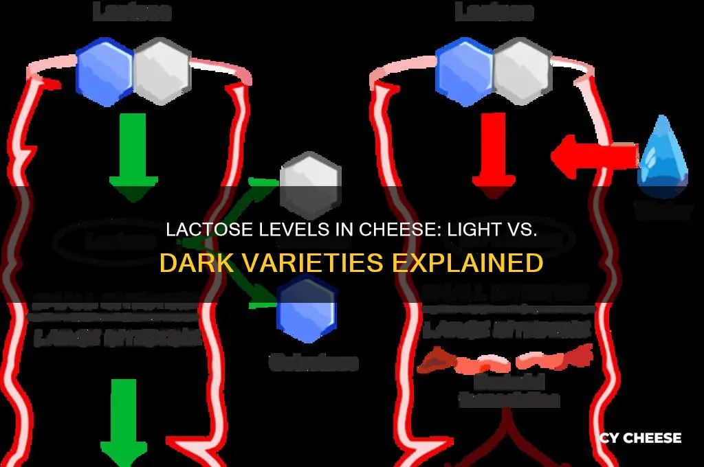which has more lactose lighter colored cheese or darker cheese